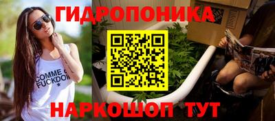 гидропоника Краснознаменск