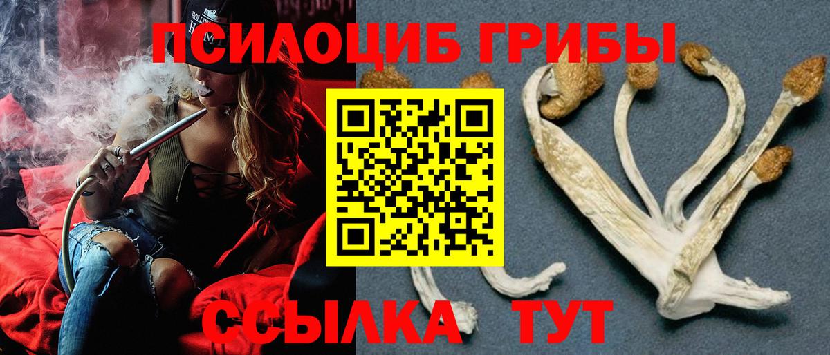 Карачаевск  Галлюциногенные грибы прущие грибы  Вход с VPN  где продают наркотики  Псилоцибиновые грибы Psilocybe 
